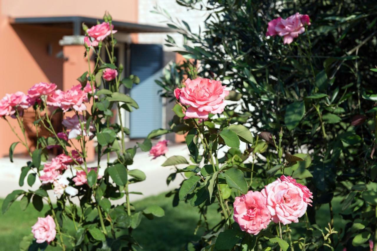Girasole Villa Limni  Esterno foto